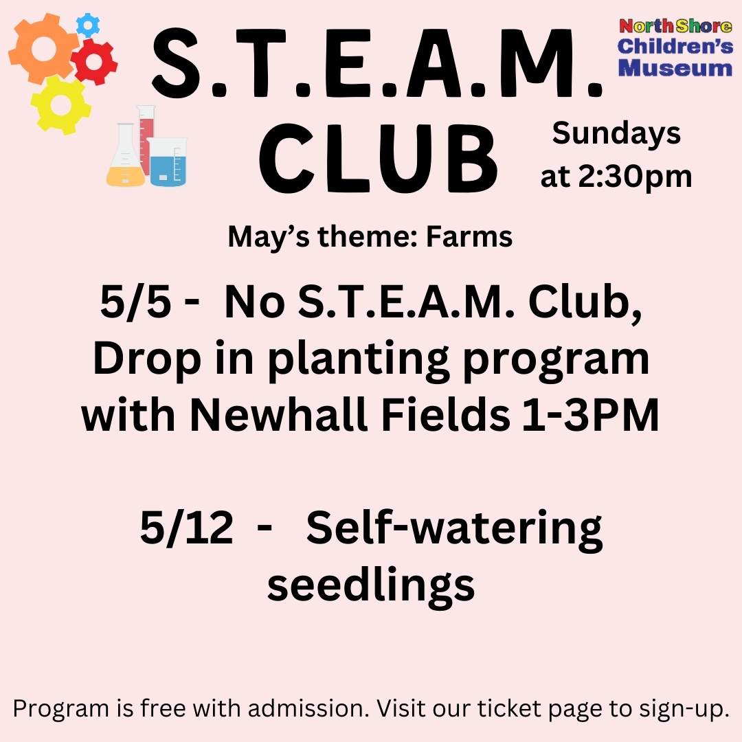 STEAM CLUB for Website - March 2024